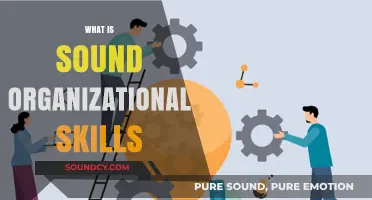 Mastering Sound Organizational Skills: Boost Productivity and Achieve Success
