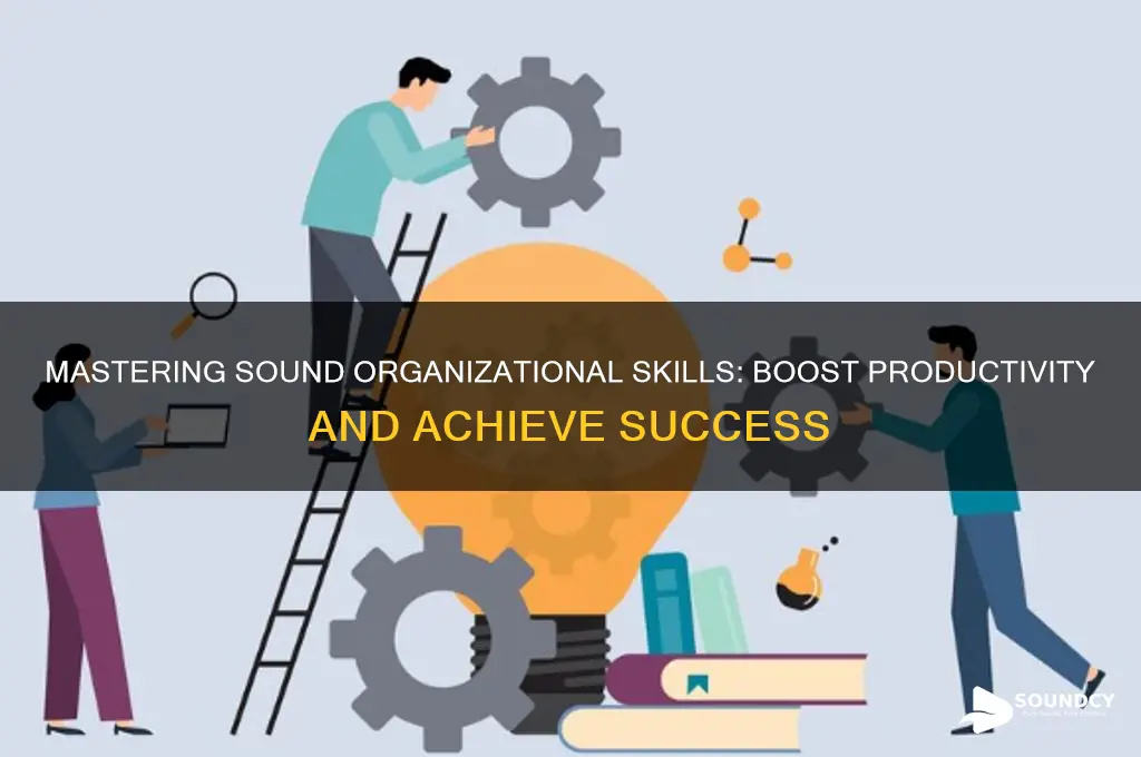 what is sound organizational skills