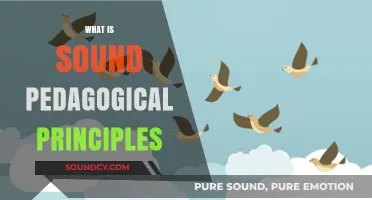 Understanding Sound Pedagogical Principles for Effective Teaching and Learning