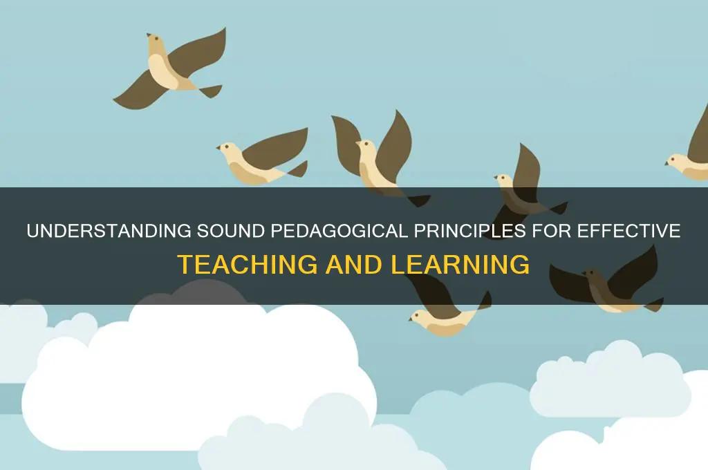 what is sound pedagogical principles