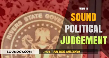 Understanding Sound Political Judgment: Key Principles and Practical Applications