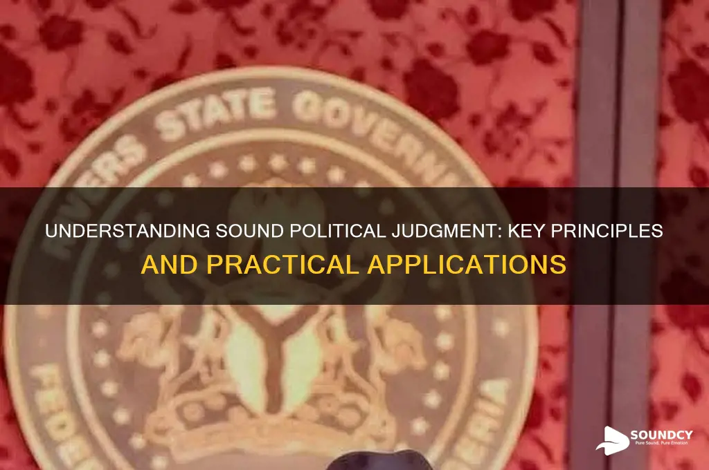 what is sound political judgement