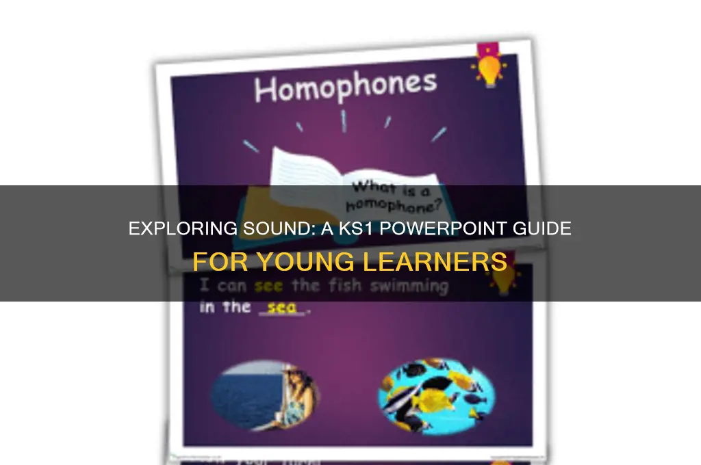 what is sound powerpoint ks1