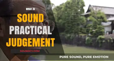 Understanding Sound Practical Judgement: A Guide to Wise Decision-Making