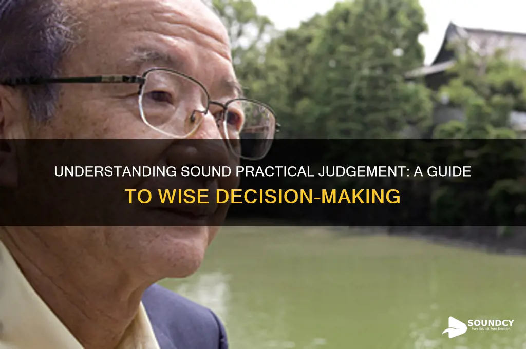 what is sound practical judgement