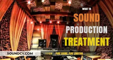 Understanding Sound Production Treatment: Enhancing Audio Quality in Recording Studios