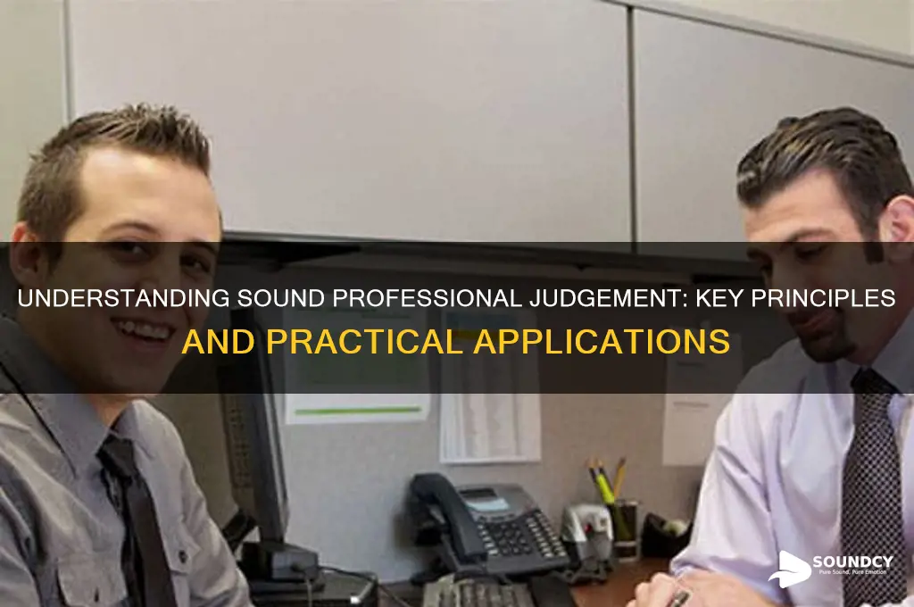 what is sound professional judgement