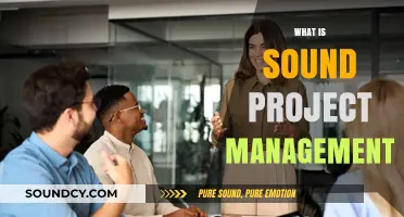 Mastering Sound Project Management: Key Principles for Successful Outcomes