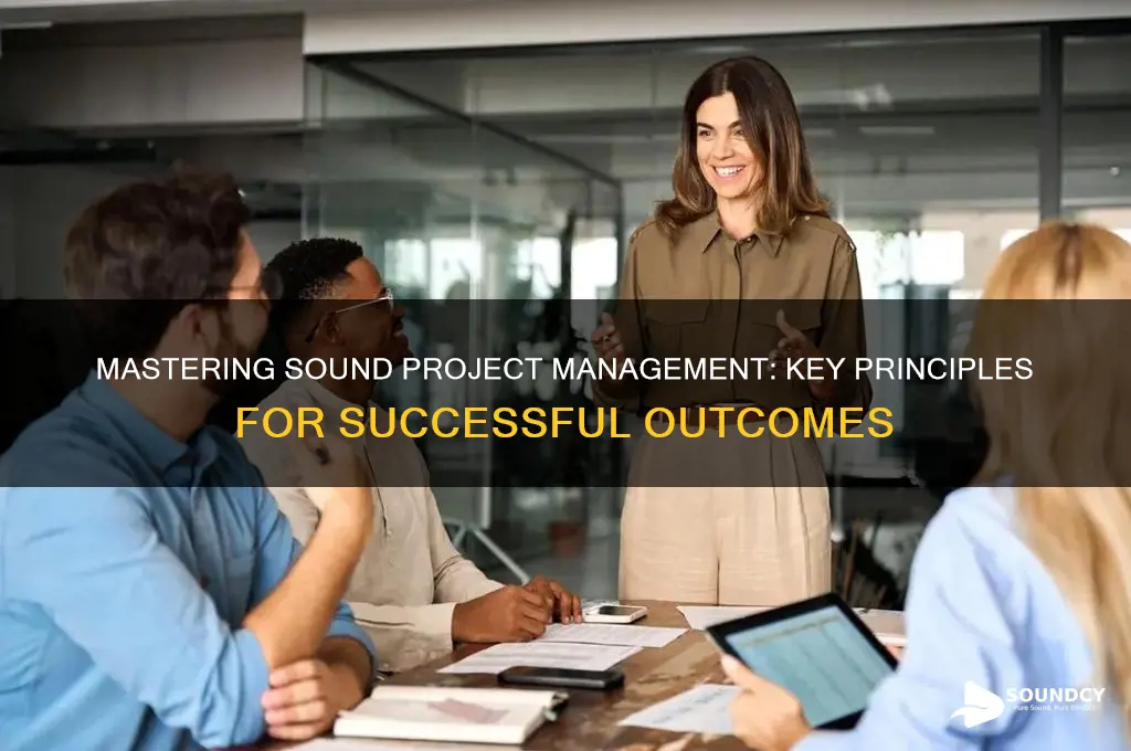what is sound project management