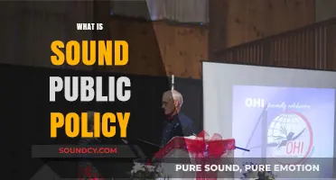 Crafting Effective Public Policy: Principles for Sound Governance and Impact