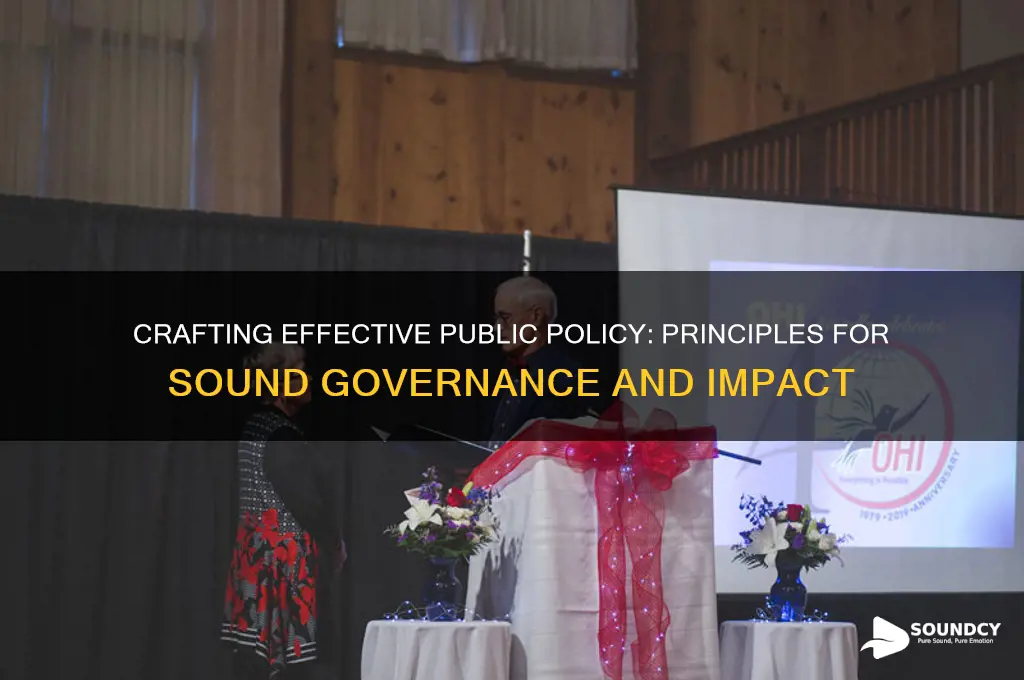 what is sound public policy