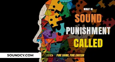 Understanding Sound Punishment: Exploring Its Name and Effective Applications