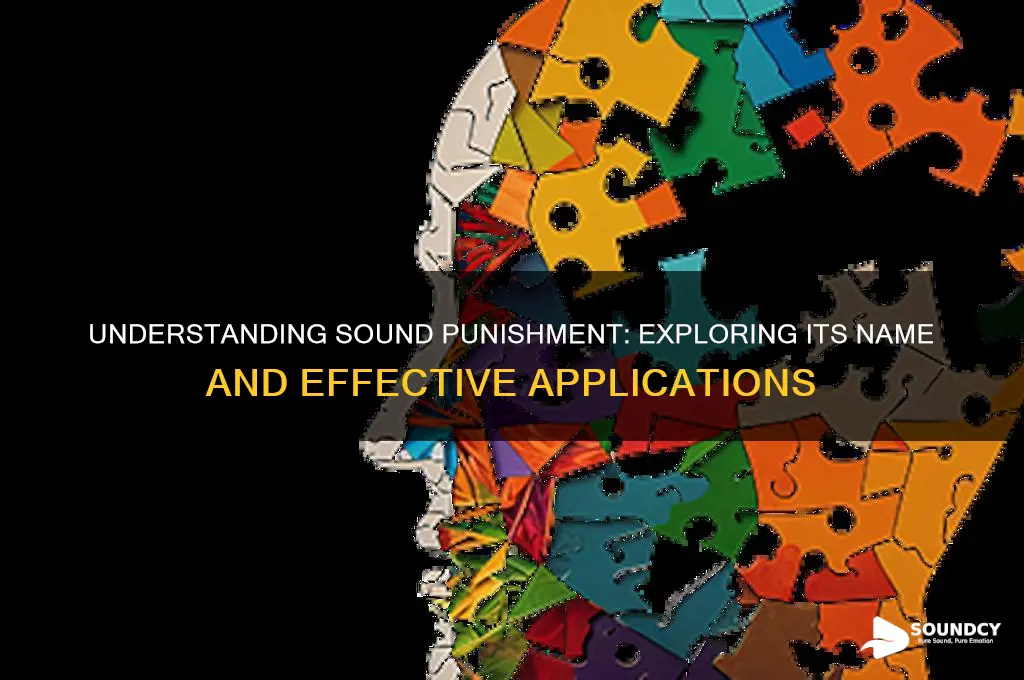 what is sound punishment called