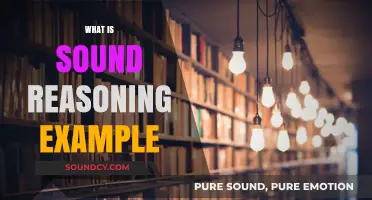 Mastering Sound Reasoning: Practical Examples for Clear Logical Thinking