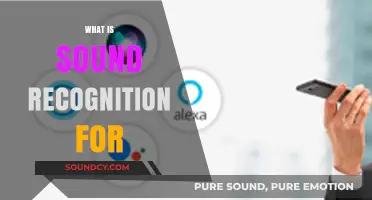 Understanding Sound Recognition: Applications, Benefits, and Real-World Uses
