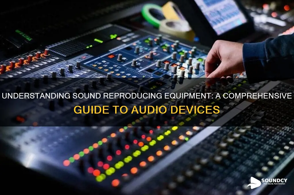 what is sound reproducing equipment