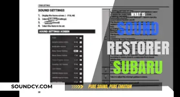 Understanding the Subaru Sound Restorer: Function, Benefits, and Installation Guide
