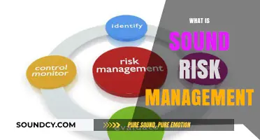 Mastering Sound Risk Management: Strategies for Effective Decision-Making