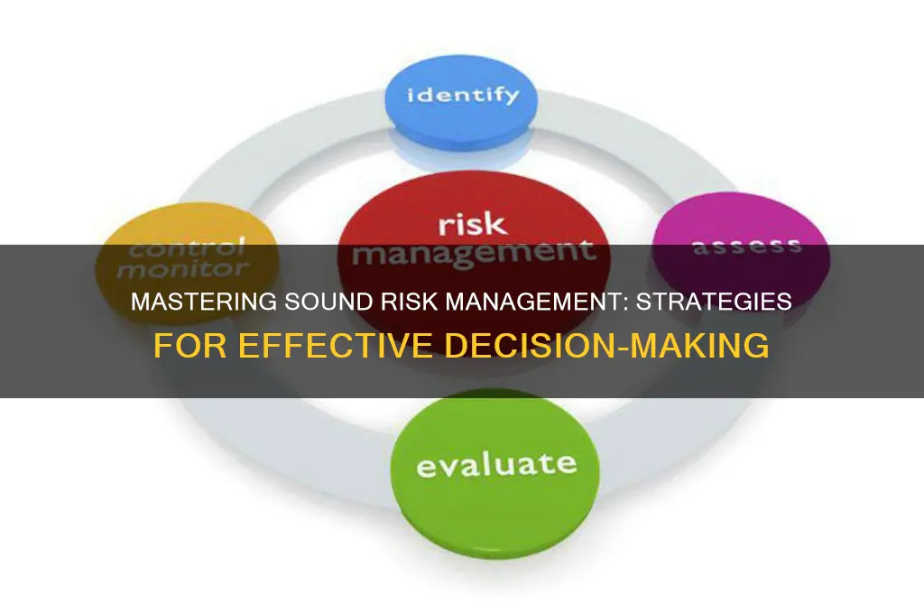 what is sound risk management