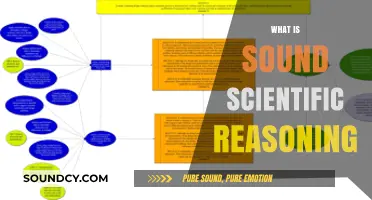 Understanding Sound Scientific Reasoning: Principles, Process, and Application