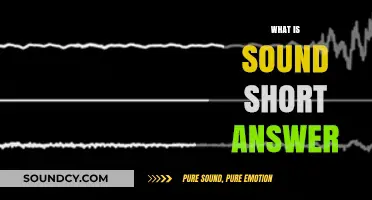 Understanding Sound: A Concise Explanation of Its Nature and Basics