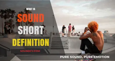 Understanding Sound: A Concise Definition and Its Essential Nature