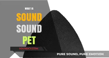 Understanding Sound Pet: A Comprehensive Guide to Pet-Friendly Sound Solutions