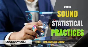 Mastering Sound Statistical Practices for Accurate Data Analysis and Insights