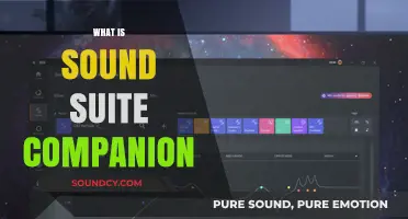 Exploring Sound Suite Companion: Features, Benefits, and Practical Applications