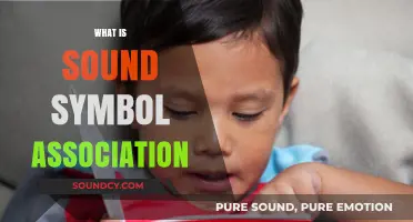 Understanding Sound Symbol Association: The Link Between Speech and Writing
