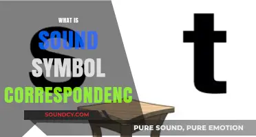 Understanding Sound Symbol Correspondence: The Link Between Speech and Writing