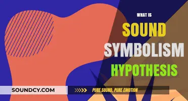 Exploring Sound Symbolism Hypothesis: Language, Meaning, and Phonetic Connections