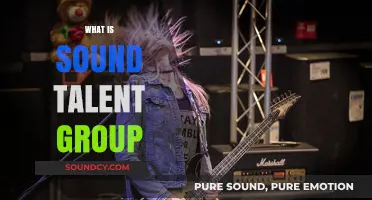 Unveiling Sound Talent Group: A Comprehensive Guide to Their Mission and Impact