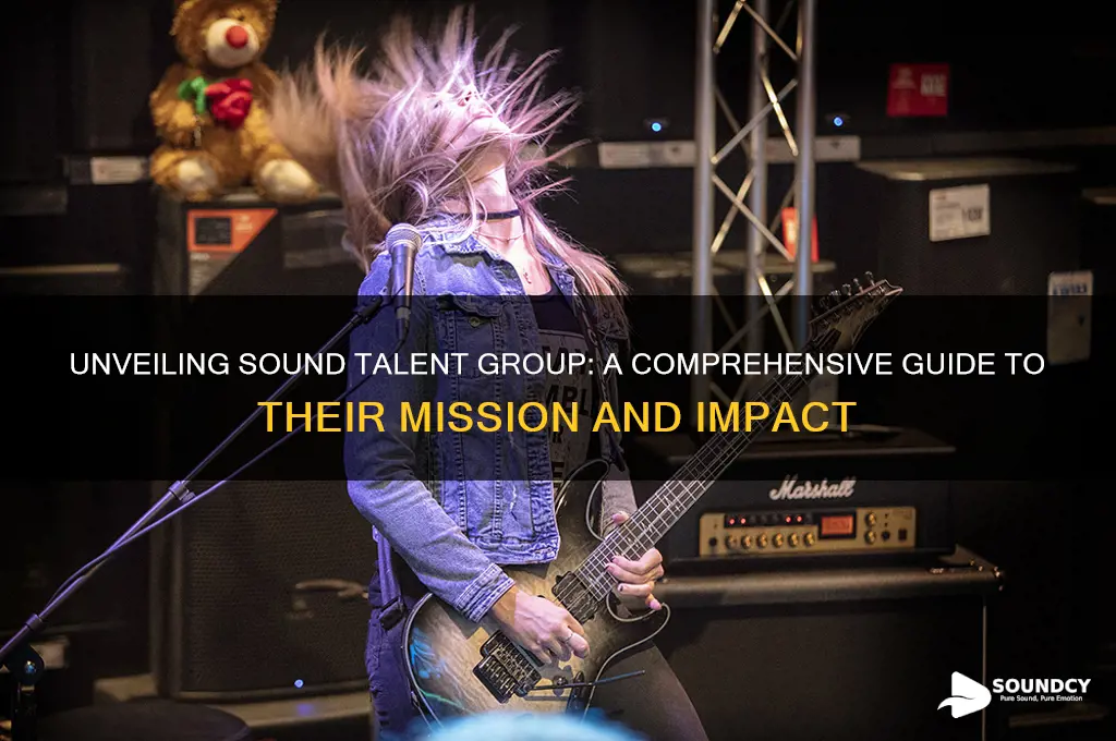 what is sound talent group