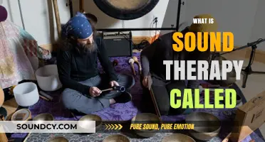 Exploring Sound Therapy: Alternative Healing Techniques and Their Benefits