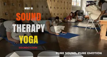 Sound Therapy Yoga: Harmonizing Mind, Body, and Spirit Through Vibrations