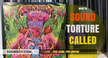 Understanding Sound Torture: The Devastating Practice Known as Acoustic Warfare