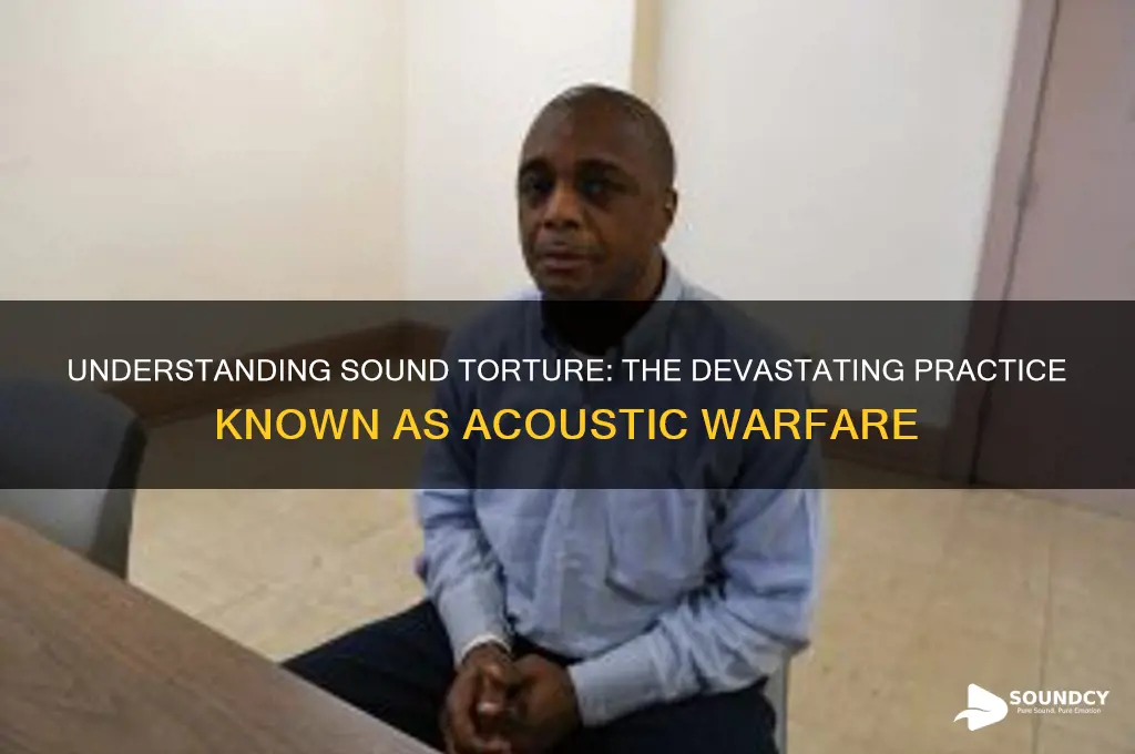 what is sound torture called