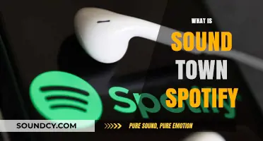 Exploring Sound Town Spotify: A New Music Discovery Experience