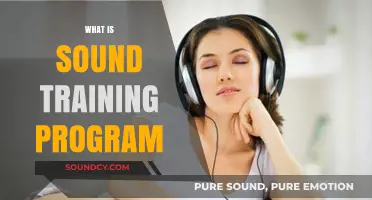 Effective Sound Training Programs: Enhancing Audio Skills for Professional Success