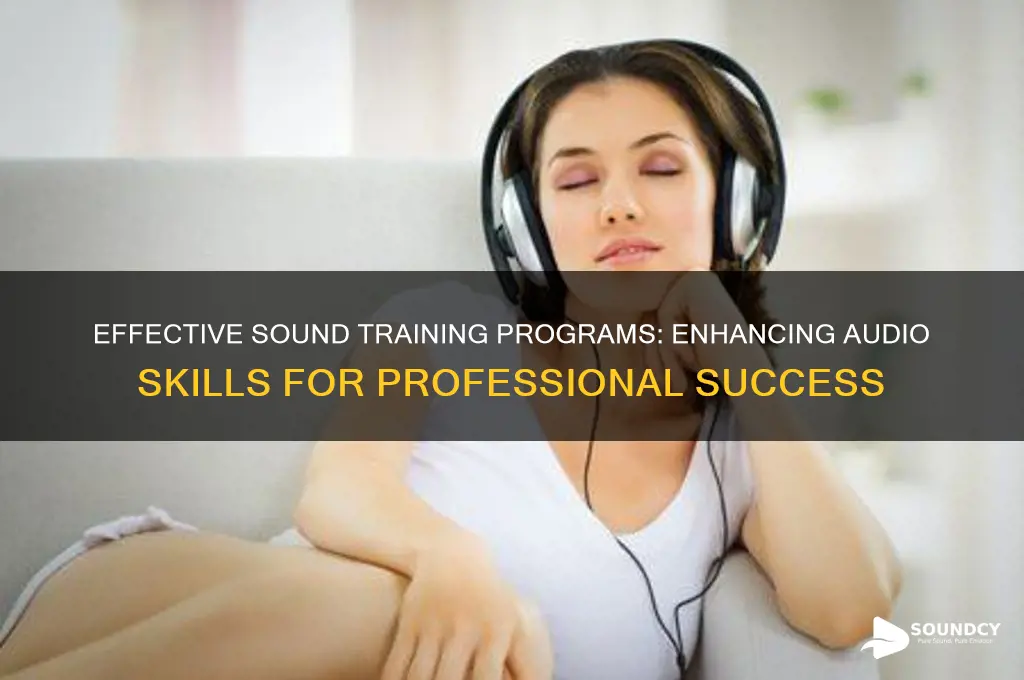 what is sound training program
