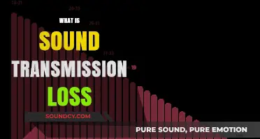 Understanding Sound Transmission Loss: How It Reduces Noise in Buildings