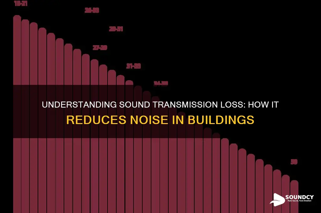 what is sound transmission loss