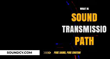 Understanding Sound Transmission Paths: How Noise Travels Through Structures
