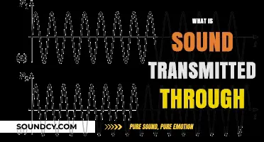 How Sound Waves Travel: Exploring the Mediums of Transmission