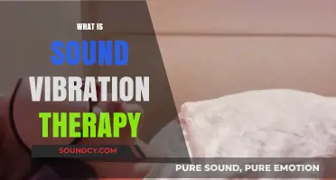 Exploring Sound Vibration Therapy: Healing Through Frequencies and Resonance