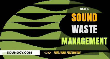 Effective Sound Waste Management: Strategies for a Sustainable Future