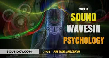 Understanding Sound Waves: Psychological Impacts and Perceptual Mechanisms