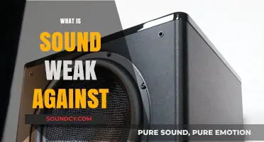 Sound's Vulnerabilities: Exploring Weaknesses in Audio and Acoustic Phenomena