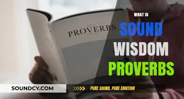 Sound Wisdom Proverbs: Timeless Insights for Modern Life and Growth